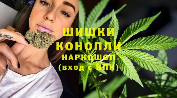 ALPHA PVP Бородино