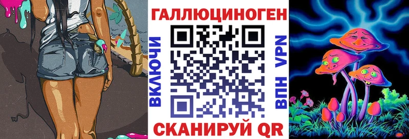Псилоцибиновые грибы Psilocybe Балашиха